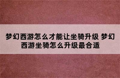 梦幻西游怎么才能让坐骑升级 梦幻西游坐骑怎么升级最合适